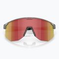Napszemüveg Bliz Hero transparent dark grey/brown red multi 3