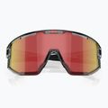 Napszemüveg Bliz Vision transparent dark grey/brown red multi 3
