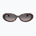 Napszemüveg Ray-Ban RB2223 havana/gradient grey 2