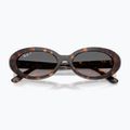 Napszemüveg Ray-Ban RB2223 havana/gradient grey 3