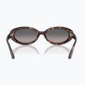 Napszemüveg Ray-Ban RB2223 havana/gradient grey 5