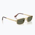 Napszemüveg Ray-Ban RB3927 By A$Ap Rocky