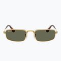 Napszemüveg Ray-Ban RB3927 By A$Ap Rocky 2