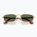 Napszemüveg Ray-Ban RB3927 By A$Ap Rocky 3
