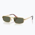Napszemüveg Ray-Ban RB3927 By A$Ap Rocky 4