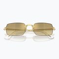 Napszemüveg Ray-Ban RB3928 By A$Ap Rocky arista gold/brown gold 3