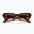Kamerás szemüveg Ray-Ban Meta Zena havana/gradient brown 6