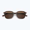 Napszemüveg Ray-Ban Leonard tortoise/brown polarized 3