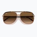 Napszemüveg Ray-Ban Bill havana brown/transparent brown 3
