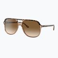 Napszemüveg Ray-Ban Bill havana brown/transparent brown 4