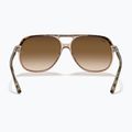 Napszemüveg Ray-Ban Bill havana brown/transparent brown 5