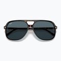 Napszemüveg Ray-Ban Bill havana/blue 3