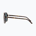 Napszemüveg Ray-Ban Bill havana/blue 7