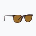 Napszemüveg Ray-Ban Elliot havana brown/black polarized