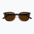 Napszemüveg Ray-Ban Elliot havana brown/black polarized 3