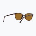 Napszemüveg Ray-Ban Elliot havana brown/black polarized 6