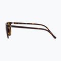 Napszemüveg Ray-Ban Elliot havana brown/black polarized 7