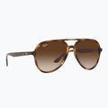 Napszemüveg Ray-Ban RB4376 havana/brown gradient