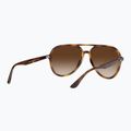 Napszemüveg Ray-Ban RB4376 havana/brown gradient 3
