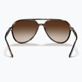Napszemüveg Ray-Ban RB4376 havana/brown gradient 5