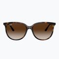 Napszemüveg Ray-Ban RB4378 havana/brown gradient 2