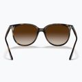 Napszemüveg Ray-Ban RB4378 havana/brown gradient 3