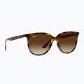 Napszemüveg Ray-Ban RB4378 havana/brown gradient 5