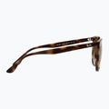 Napszemüveg Ray-Ban RB4378 havana/brown gradient 6