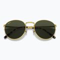 Napszemüveg Ray-Ban New Round gold/green 3