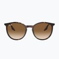 Napszemüveg Ray-Ban RB2204 havana/light brown 2