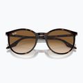 Napszemüveg Ray-Ban RB2204 havana/light brown 3