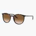Napszemüveg Ray-Ban RB2204 havana/light brown 4