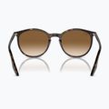 Napszemüveg Ray-Ban RB2204 havana/light brown 5