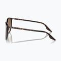 Napszemüveg Ray-Ban RB2204 havana/light brown 6