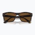 Napszemüveg Ray-Ban RB4428 havana matte/brown polarized 3