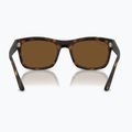 Napszemüveg Ray-Ban RB4428 havana matte/brown polarized 5