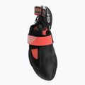 Női mászócipő La Sportiva Theory hibiscus/black 5