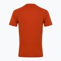 Férfi EA7 Emporio Armani Visibility Cotton Crew póló rooibos tea póló 2