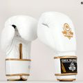 Bushido boxkesztyű DBD-B-2 fehér 17