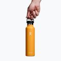 Hydro Flask Standard Flex Cap termikus palack 710 ml fosszilis 3