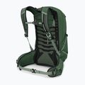 Osprey Talon 22 l zöld lombkorona / fenyőlevél férfi túra hátizsák 4