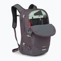 Városi hátizsák Osprey Nebula 32 l graphite/purple heather 4