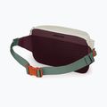Övtáska Osprey Transporter Waist Pack 3 l mystery white/moody burgundy 3