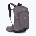 Túrahátizsák Osprey Sportlite 25 l graphite purple 2