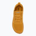 Férfi mezítlábas cipő Xero Shoes Nexus Knit arany 5