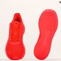 Férfi futócipő PUMA Transport Modern piros 377030 05 12