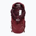 Női trekking hátizsák Lowe Alpine AirZone Trek ND43:50 43 + 7 l málna 4