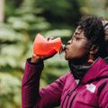 Palack HydraPak Stow 1000 ml redwood 5
