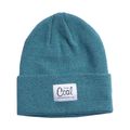 Coal The Mel téli sapka zöld 2202571 4