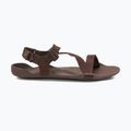 Férfi mezítlábas szandálok Xero Shoes Z-Trek barna 2